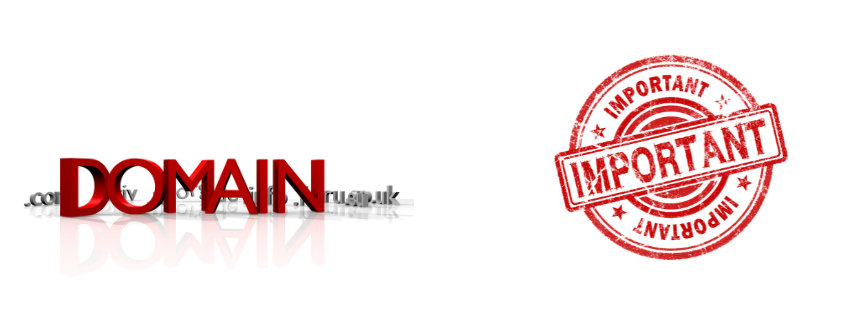 why domain name is important