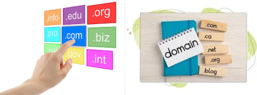 Popular Australian Domain Extensions