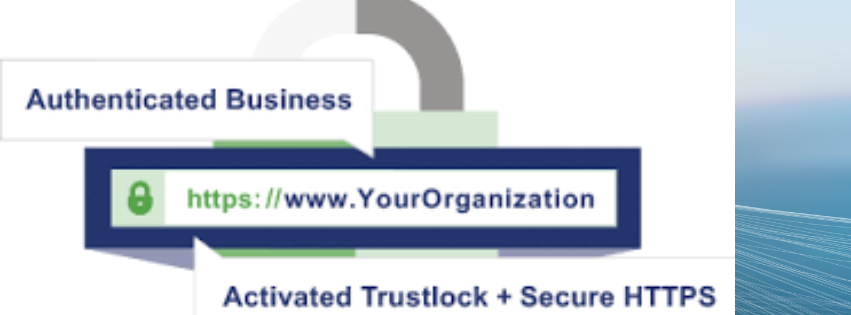 Organizational Validation ssl