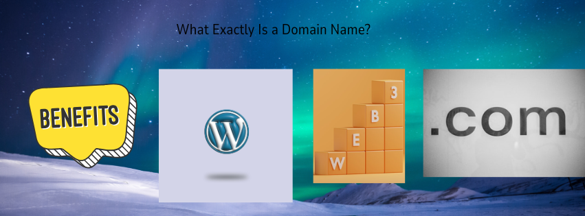 domain name and web hosting