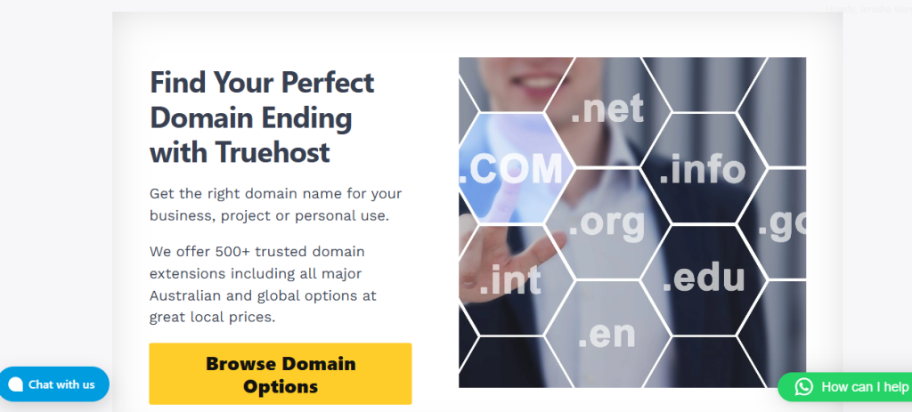 a screenshot of other domain extensions offered by truehost.