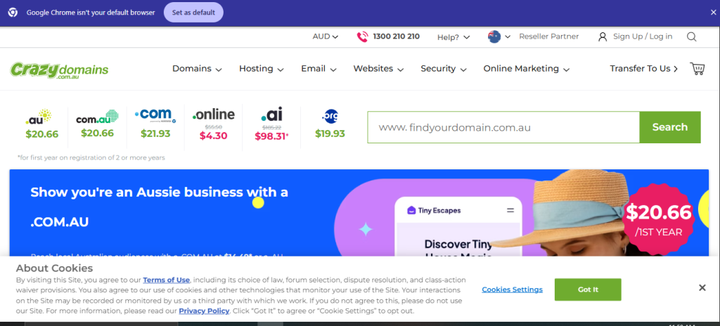 best web hosting provider- Crazy domain