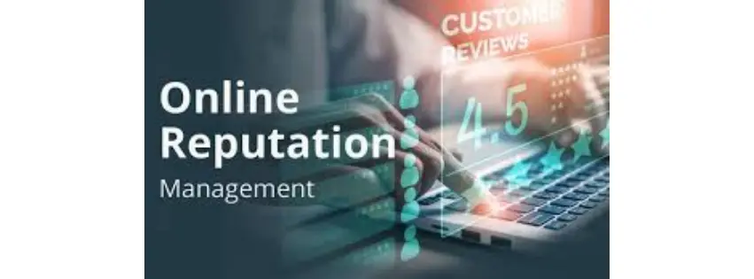 Online reputation management
