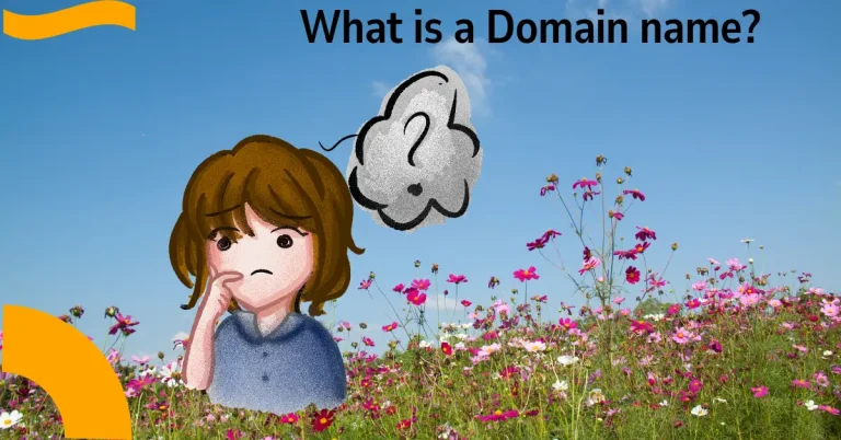 What is a domain name