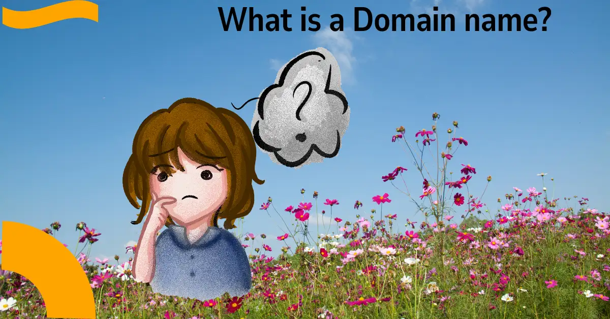 What is a domain name